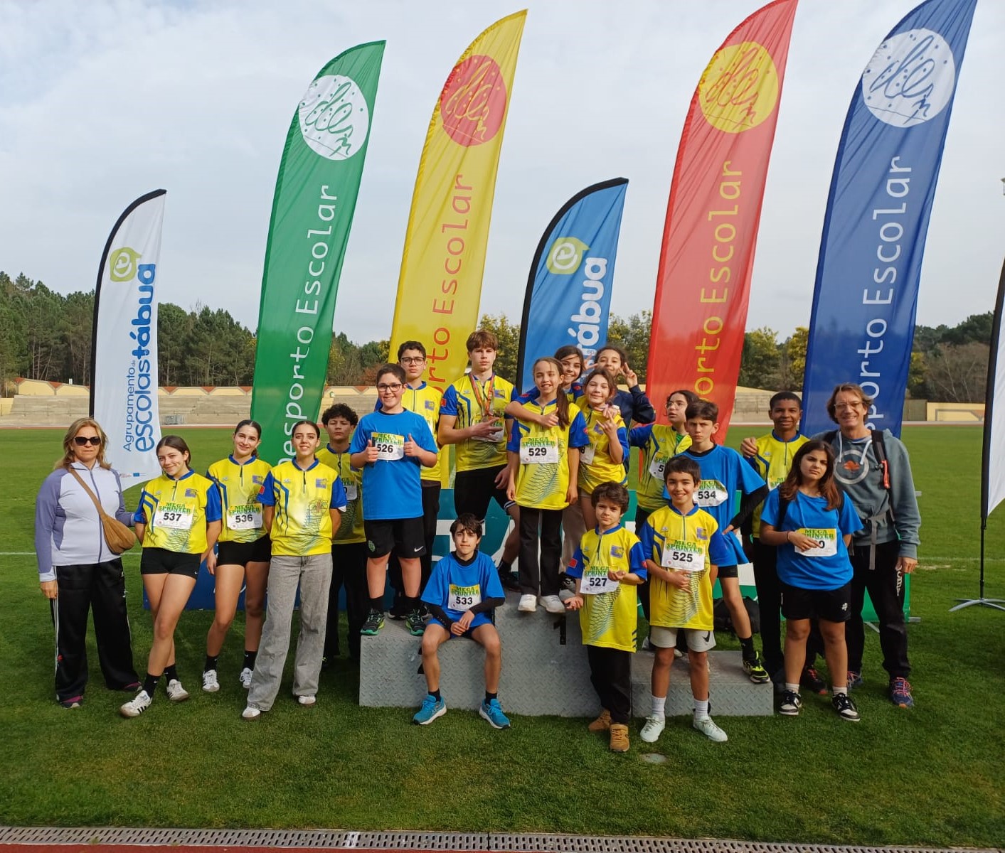 b12d5f55-2d2e-498a-98e3-bcfdcfe53cd1