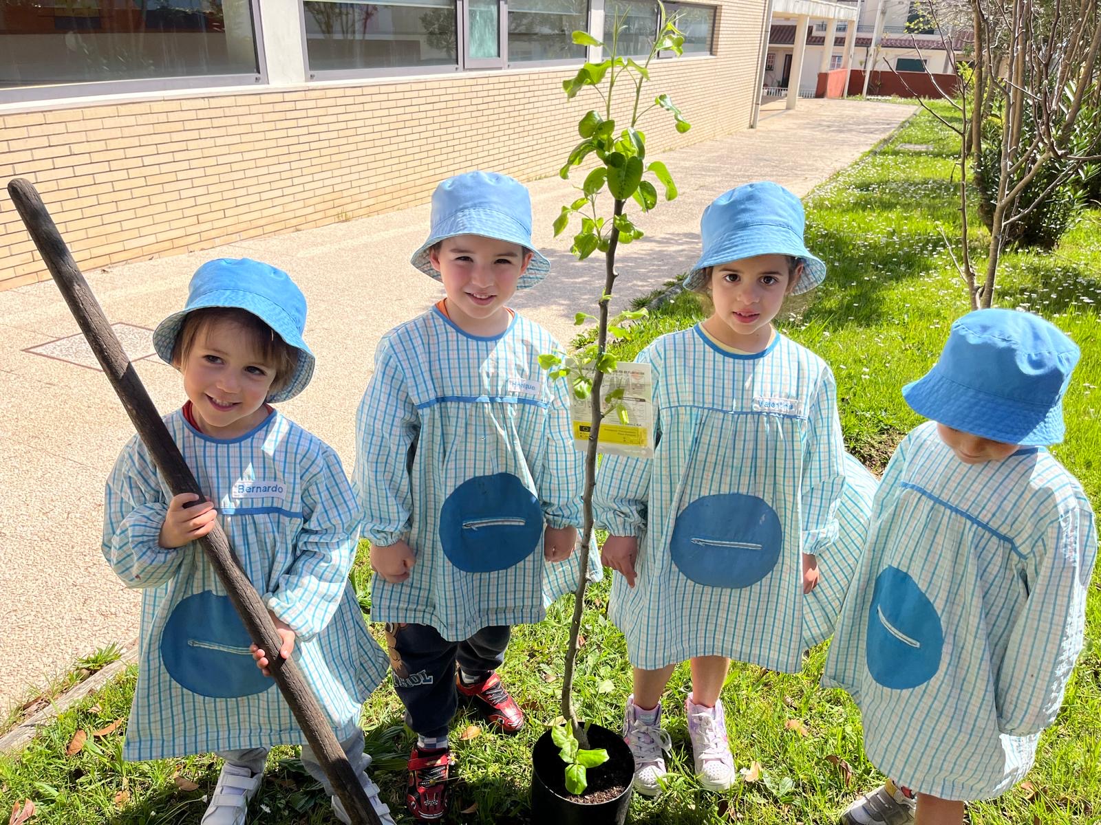 dc2e3f5b-e8de-4f02-9491-3ddaeab685b7