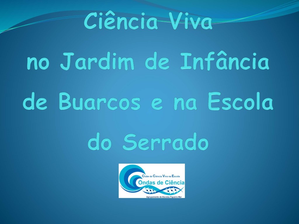 CViva Página 01 Custom