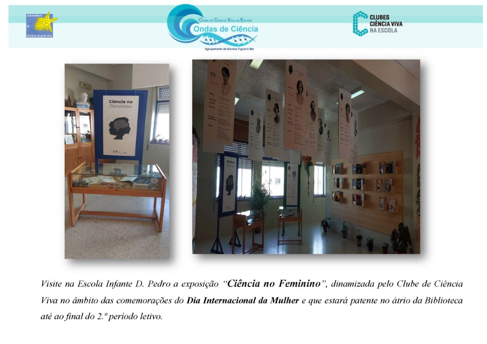 VISITE na IDP a Exposição CIÊNCIA NO FEMININO Custom