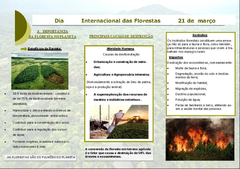 Flyer das Florestas Página 2 Custom