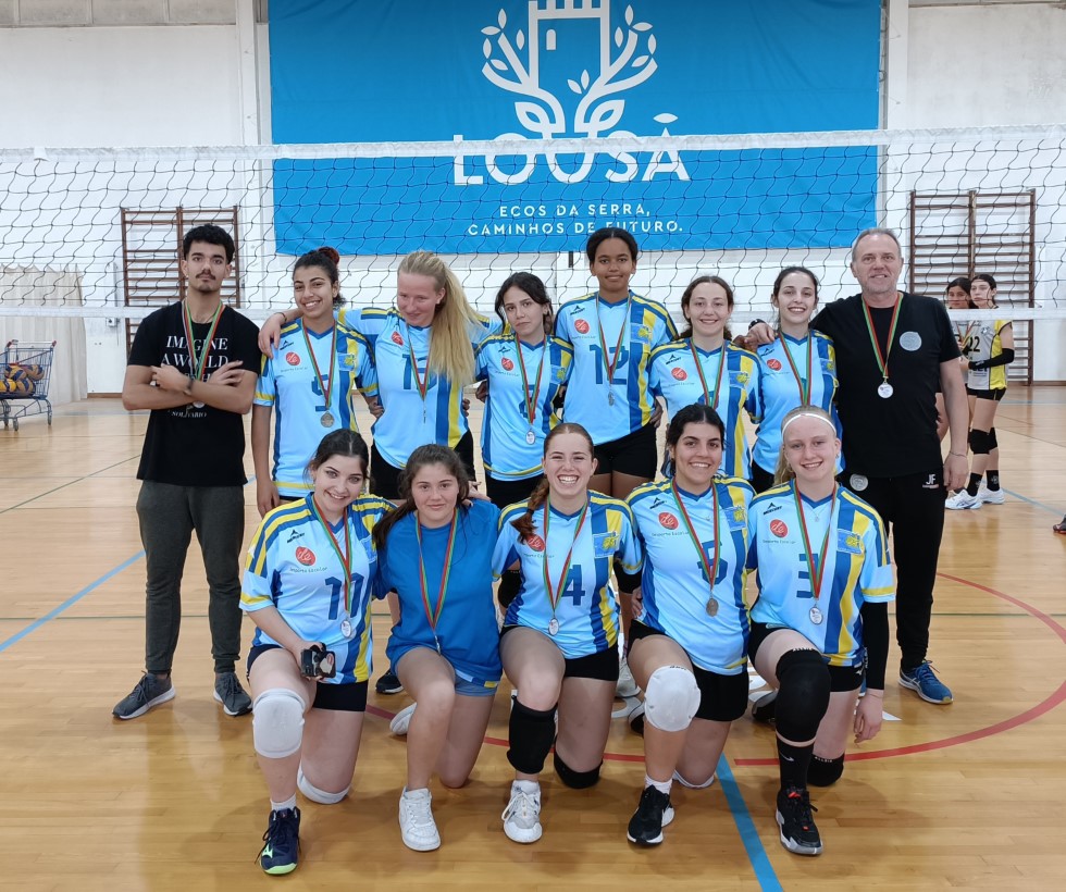 distrital lousã Custom