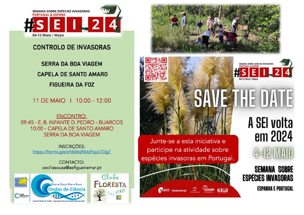 cartaz Atividade invasoras 2024 Custom