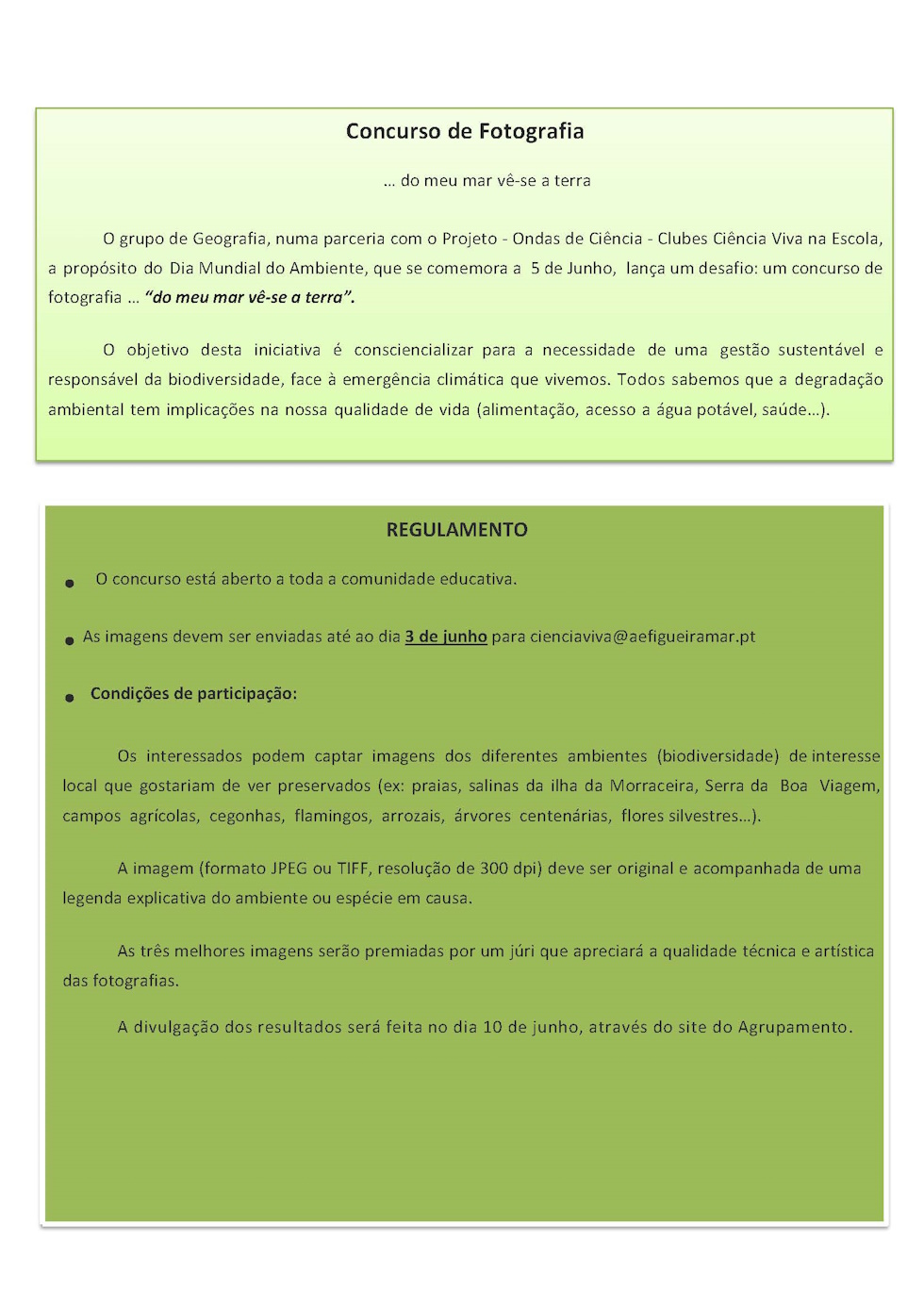 concurso de fotografia regulamento