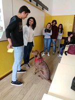 ConversasPsicologa2018-A
