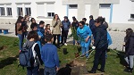 Pomar de Citrinos IDP2017