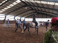 IMG 4333 1