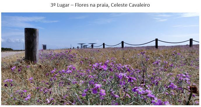 3Lugar