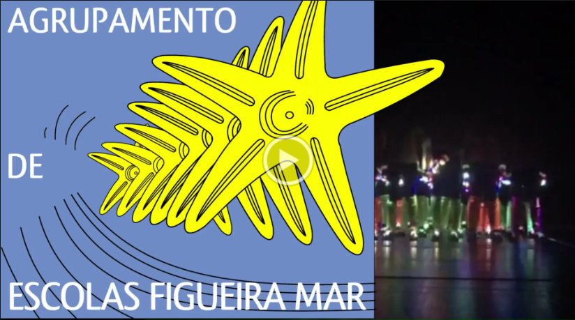 ESBMvideo