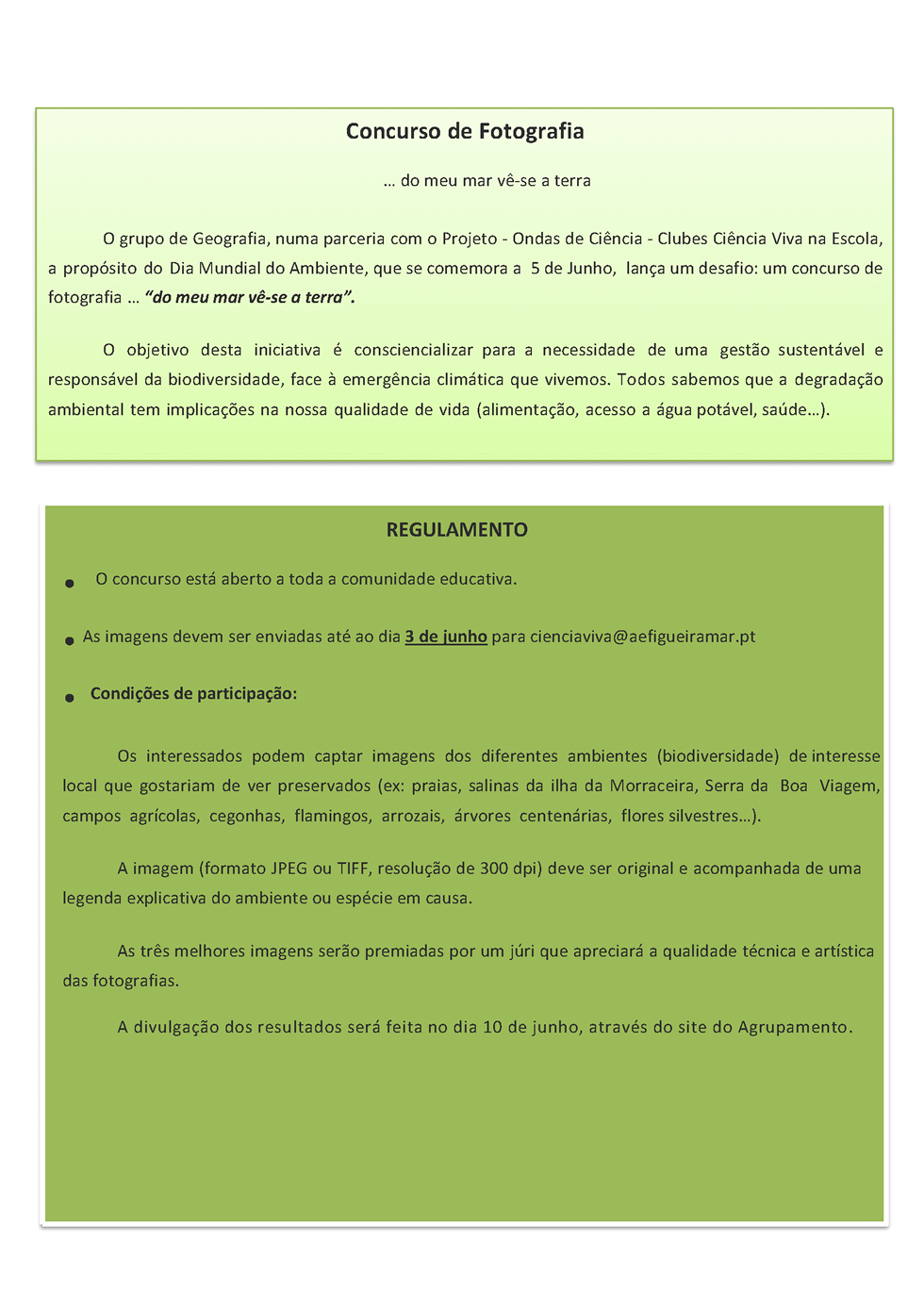 concurso de fotografia regulamento