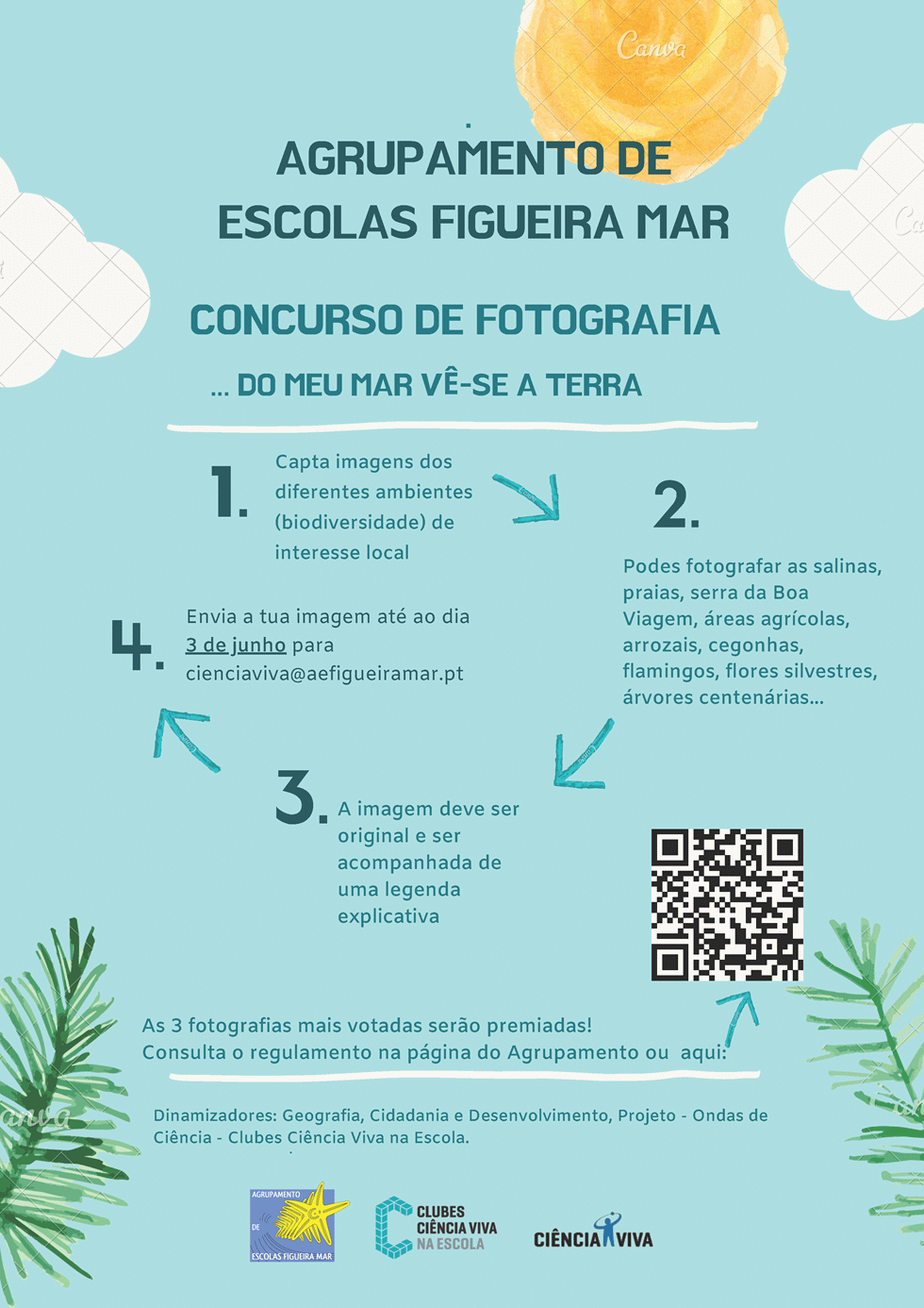 concurso fotografia